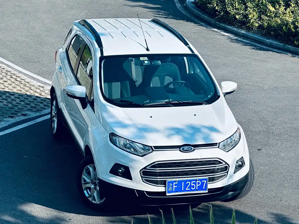 Ford EcoSport 2014 — фото 4