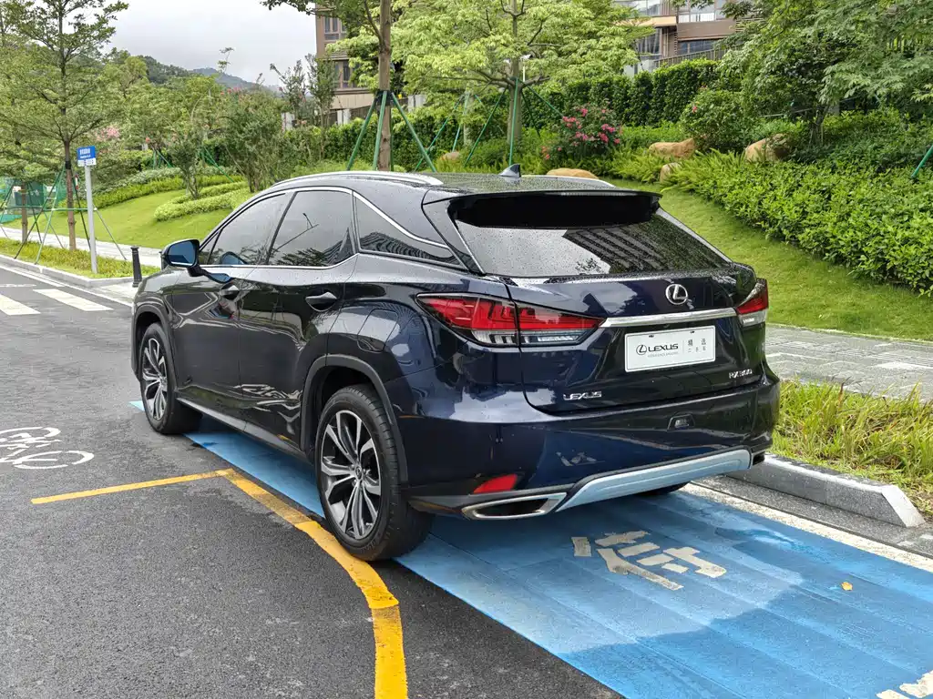 Lexus RX 2022 — фото 16