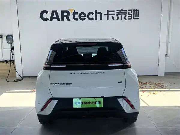 BYD Seagull 2024