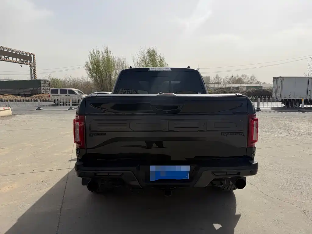 Ford F-150 Raptor 2018 — фото 8