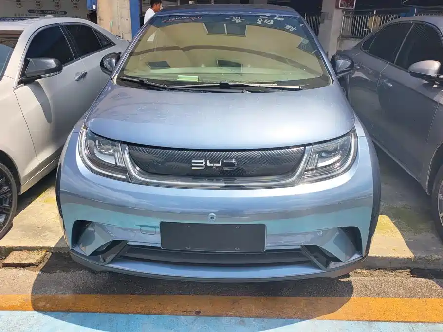 BYD Dolphin 2024