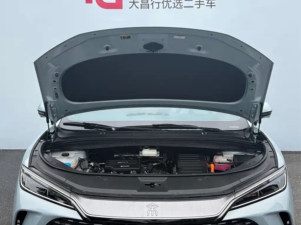 BYD Song L DM-i 2024 — фото 23