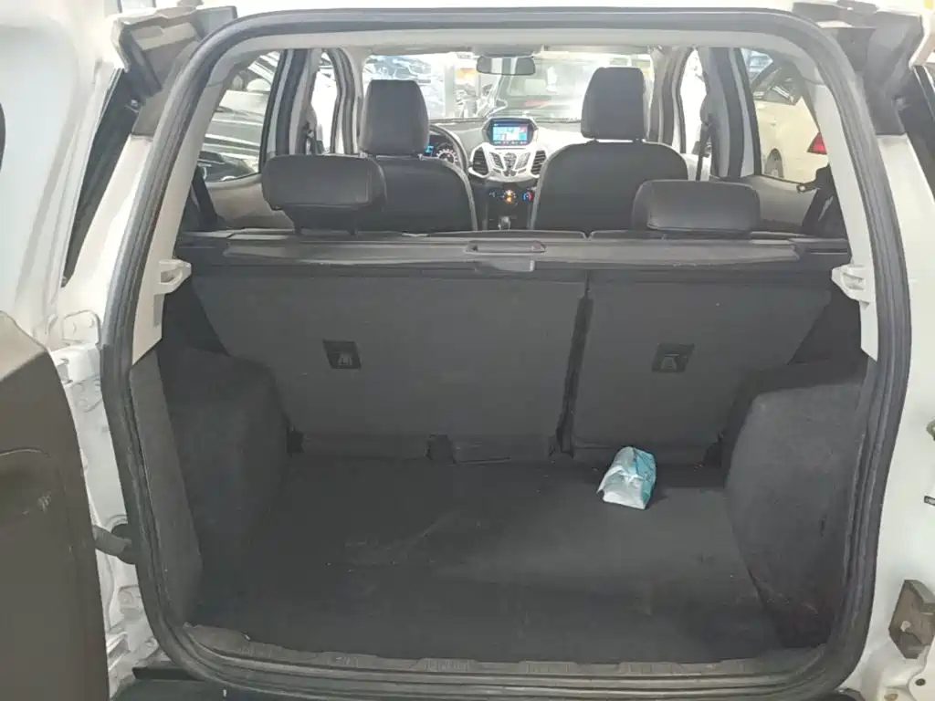 Ford Ecosport 2015 — фото 19