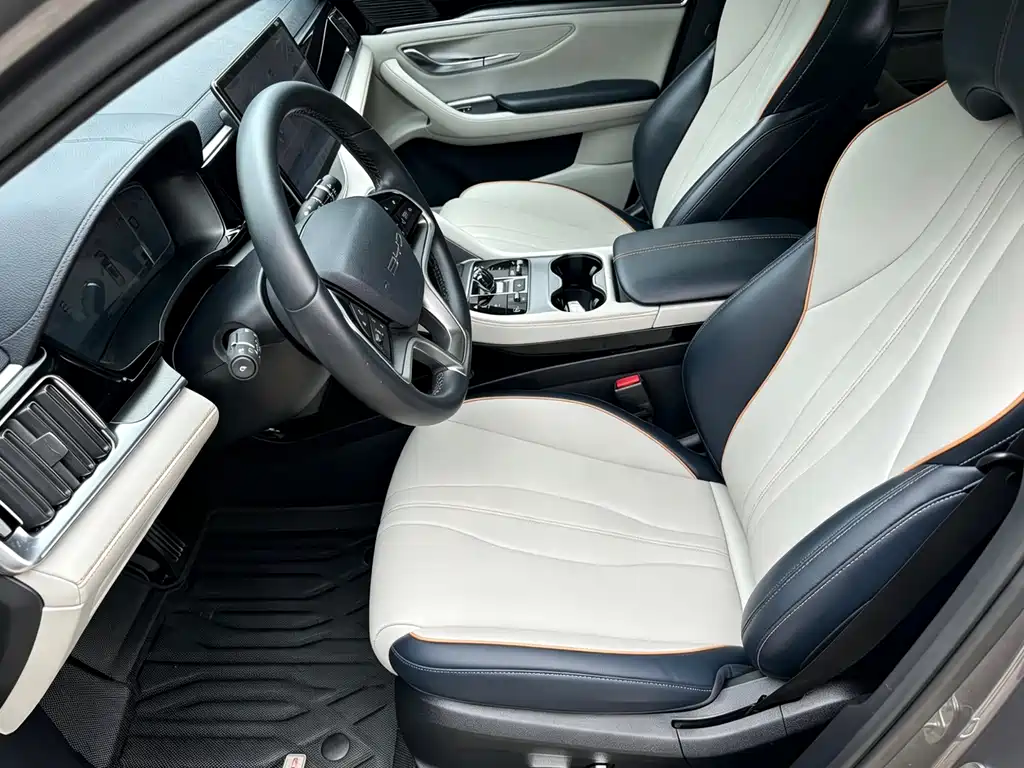 BYD PLUS New Energy 2024 — фото 19