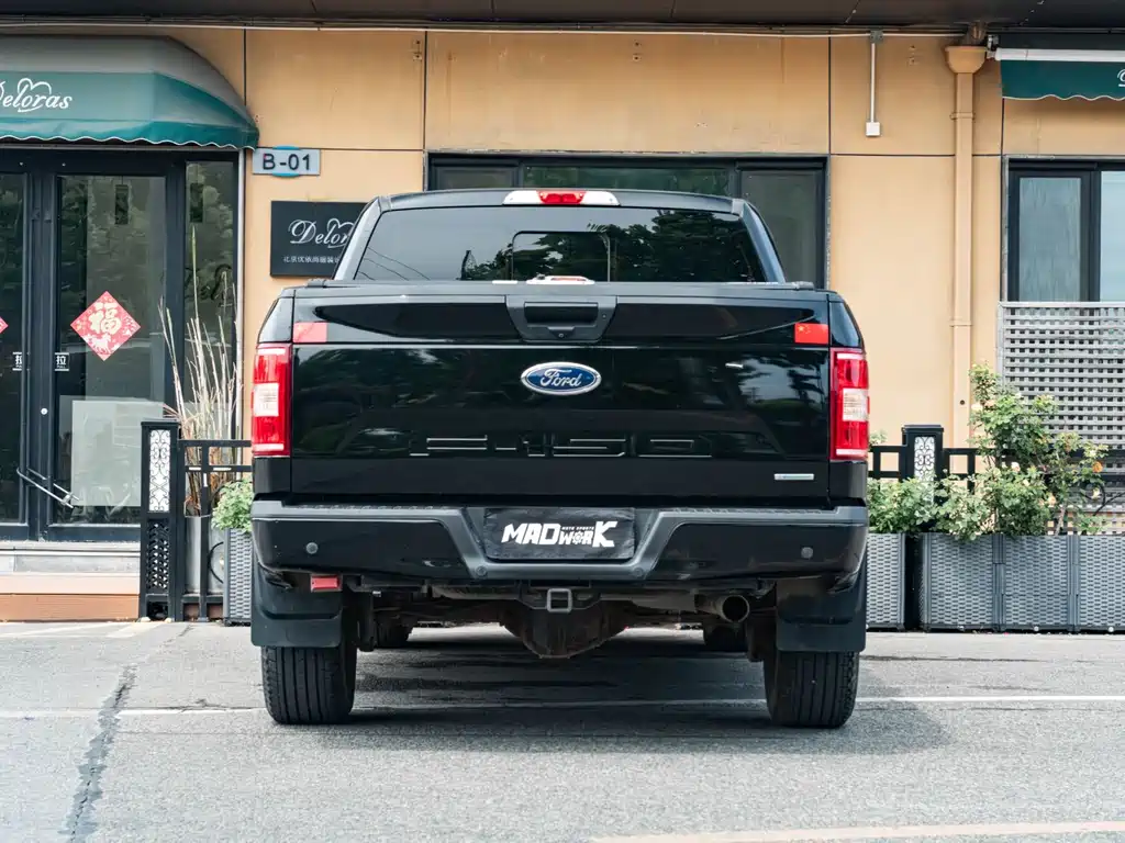 Ford F-150 Raptor 2019 — фото 9