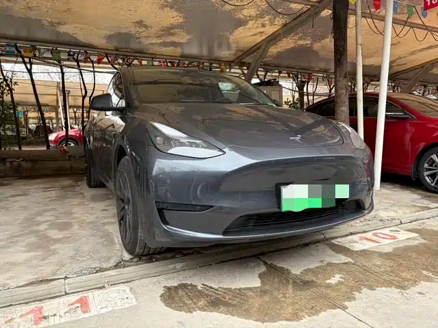 Tesla Model Y 2025 — фото 3