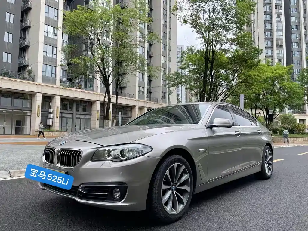 BMW 5 Series 2013 — фото 1