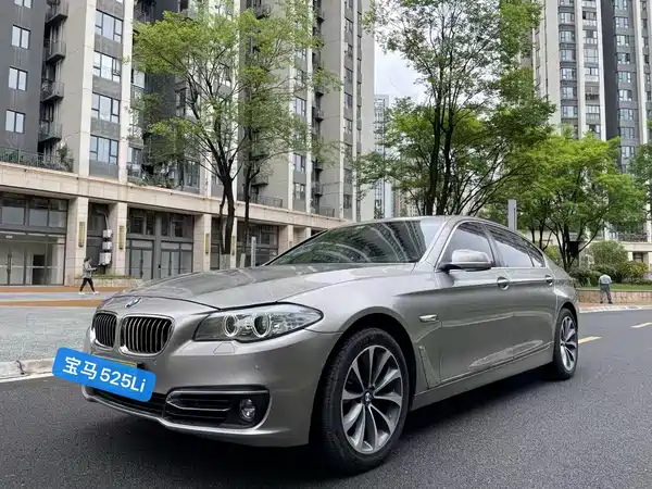 BMW 5 Series 2013