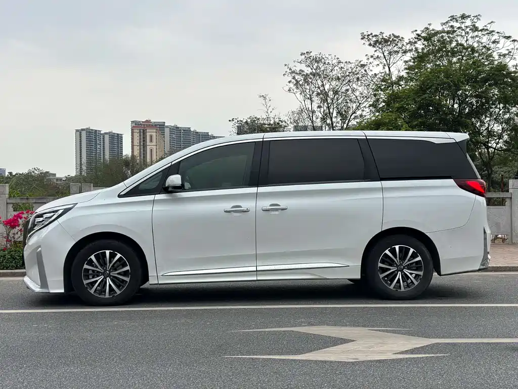 GAC Motor Trumpchi M8 2022 — фото 6