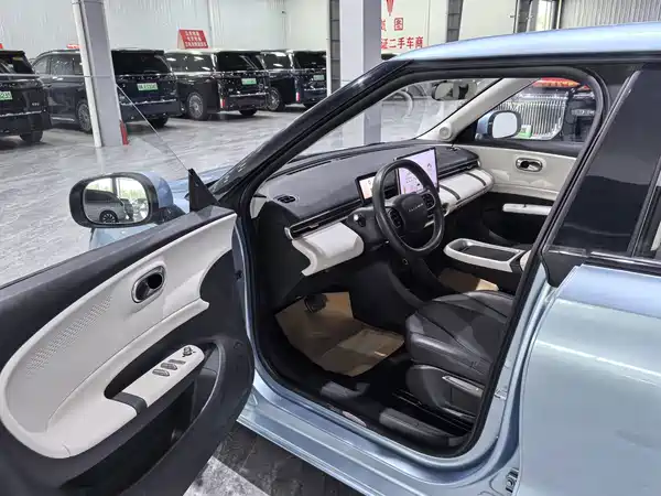 Dongfeng Nano 01 2024