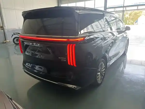 Wey Wey 2025