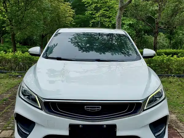 Geely Binrui 2019
