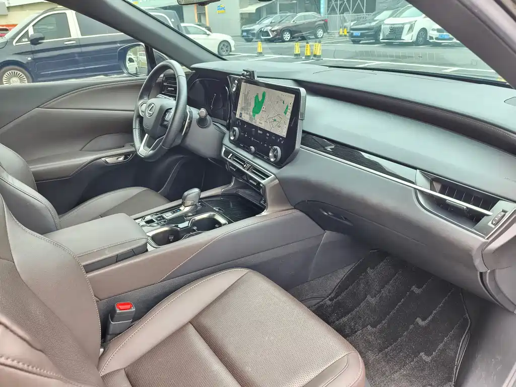 Lexus RX New Energy 2024 — фото 13