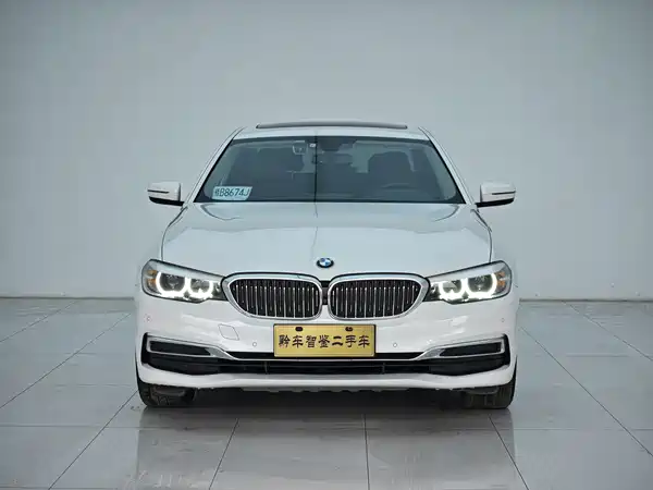 BMW 5 Series 2019