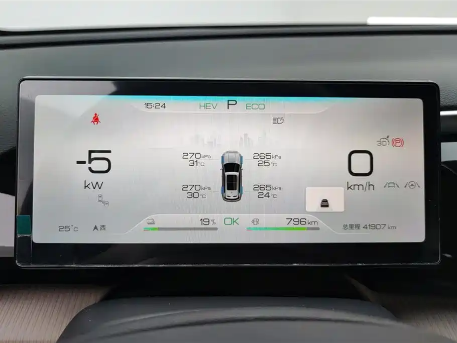 BYD Pro New Energy 2024 — фото 14