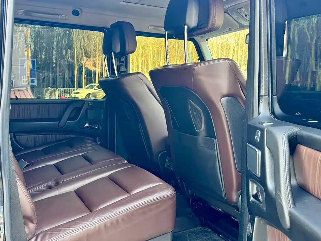 Mercedes-Benz G-Class 2017 — фото 14