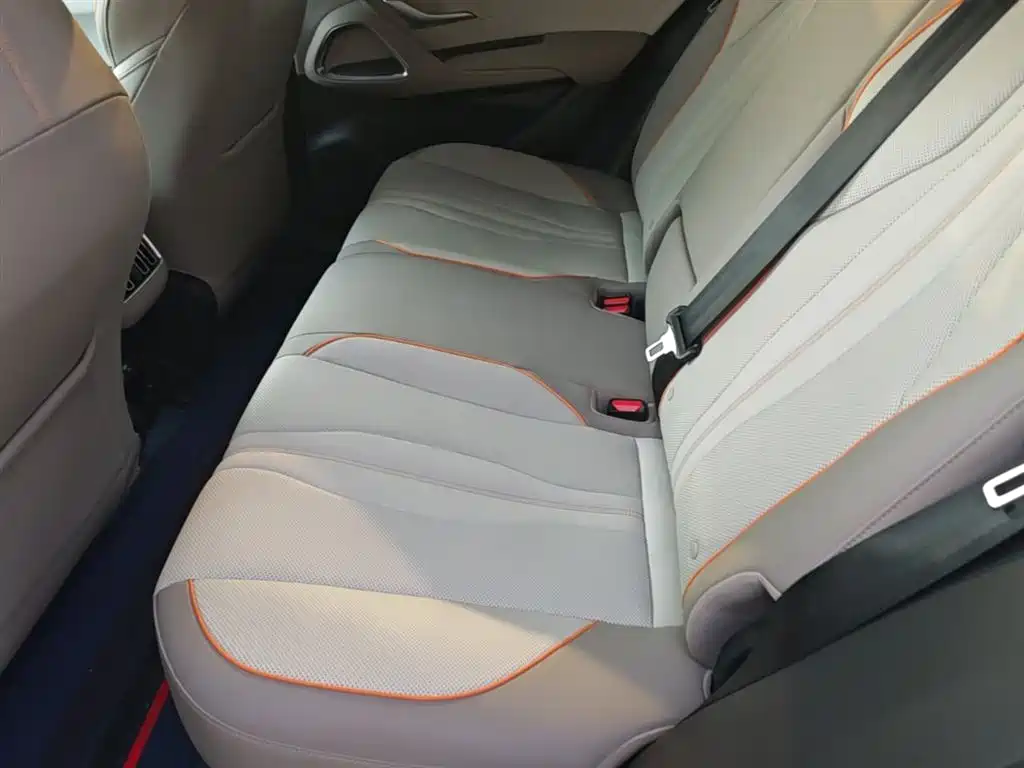 BYD Pro New Energy 2024 — фото 17