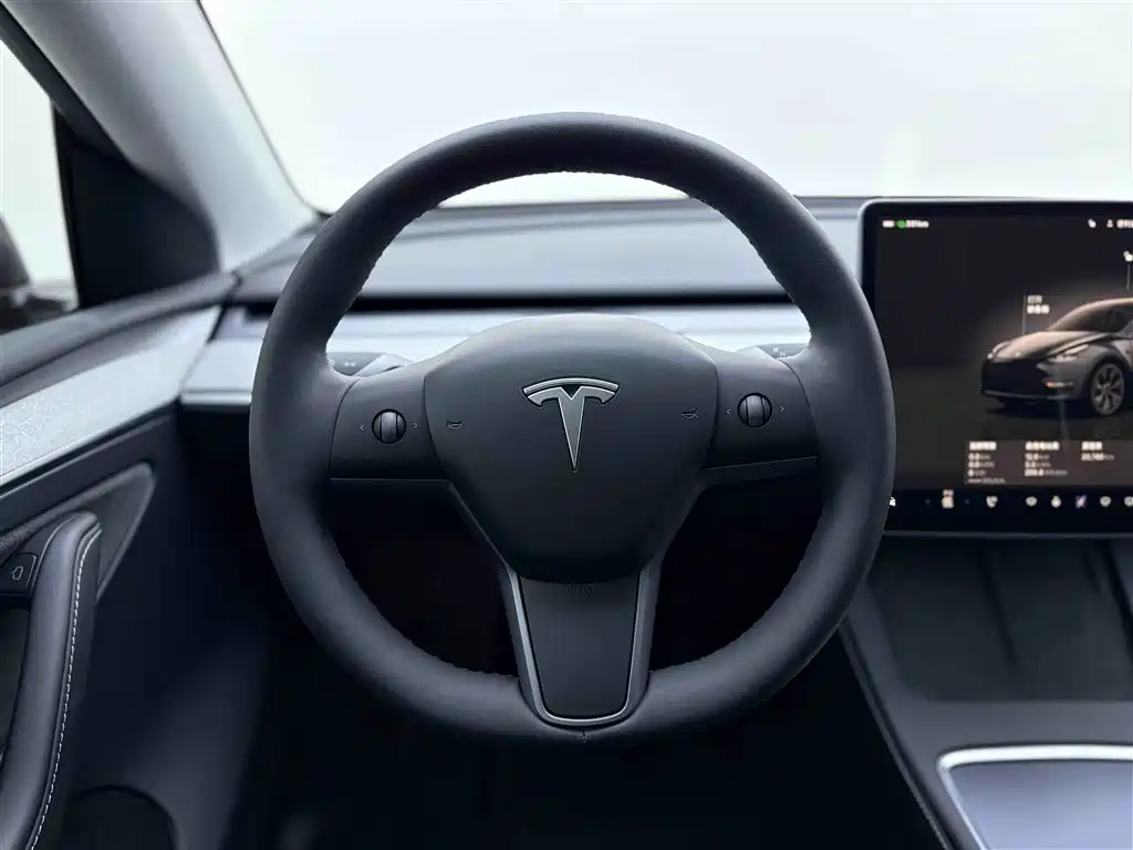 Tesla Model Y 2024 — фото 15