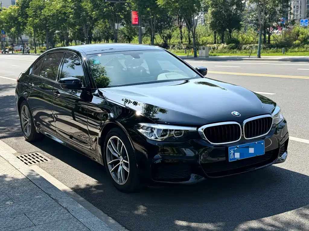 BMW 5 Series 2019 — фото 3