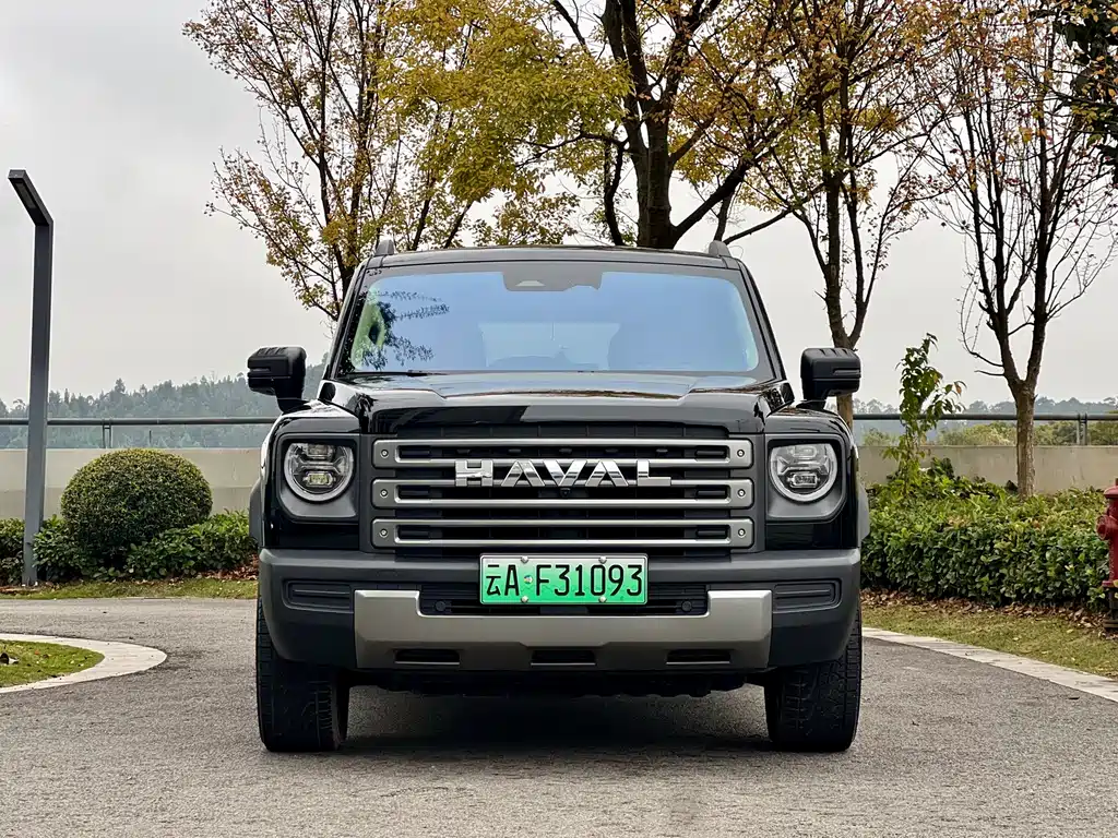 Haval Menglong New Energy 2023 — фото 2