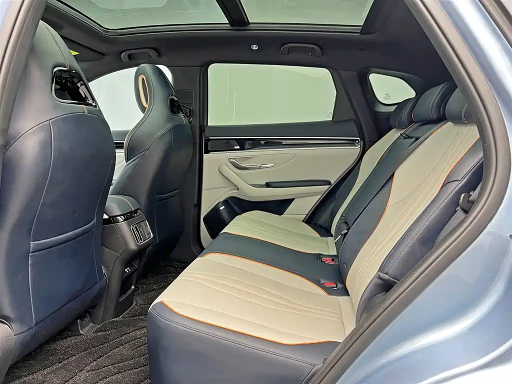 BYD PLUS New Energy 2023 — фото 16