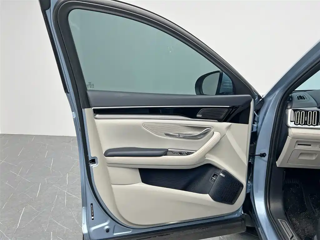 BYD PLUS New Energy 2023 — фото 12