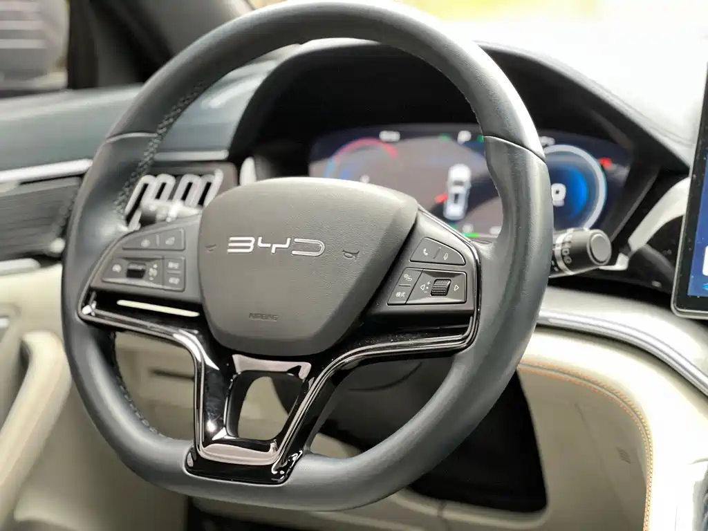 BYD PLUS New Energy 2023 — фото 16