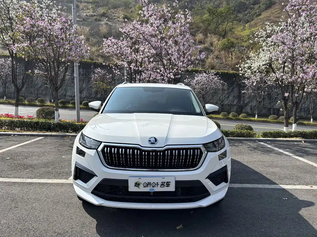 Skoda Kodiaq 2025 — фото 2