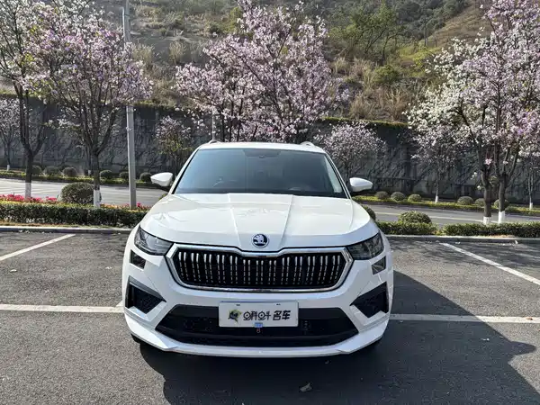 Skoda Kodiaq 2025