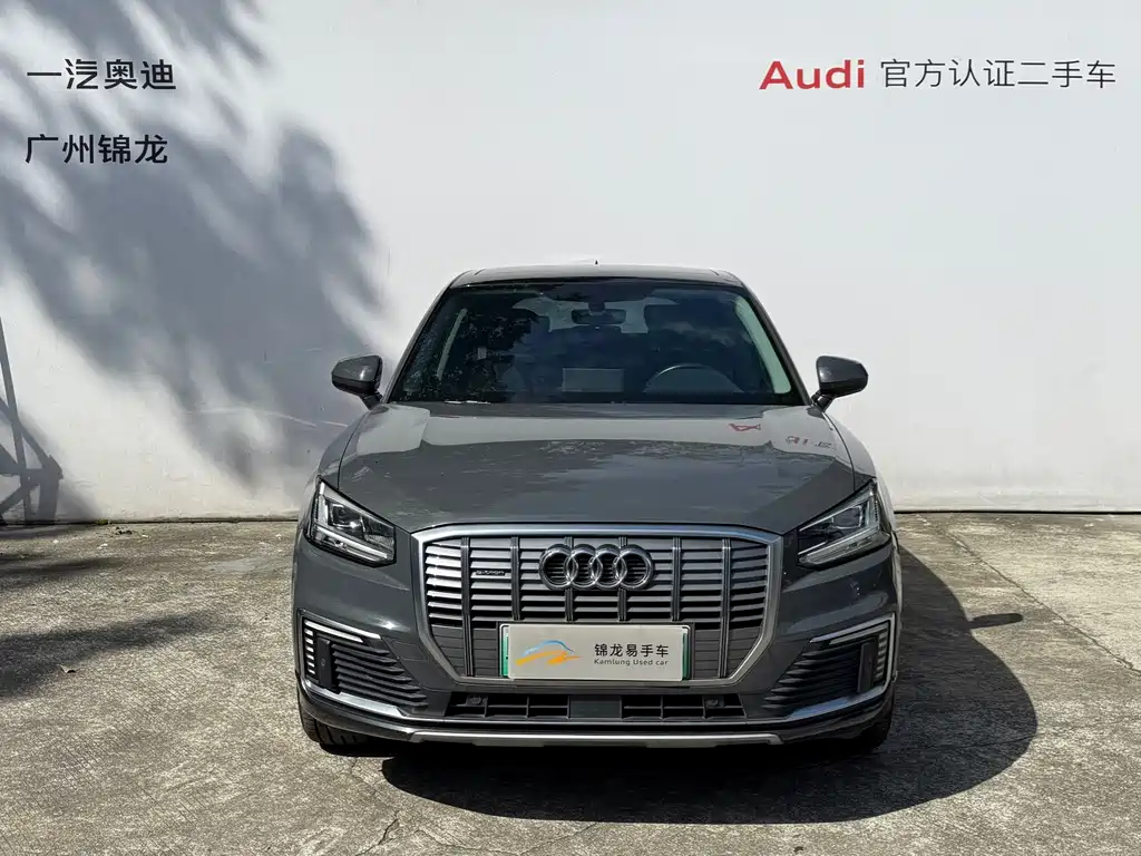 Audi Q2L e-tron 2020