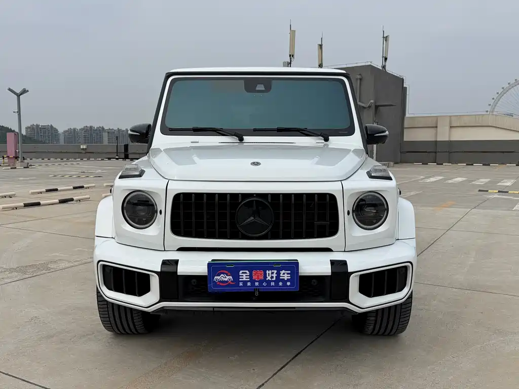 Mercedes-Benz G-Class 2020 — фото 2