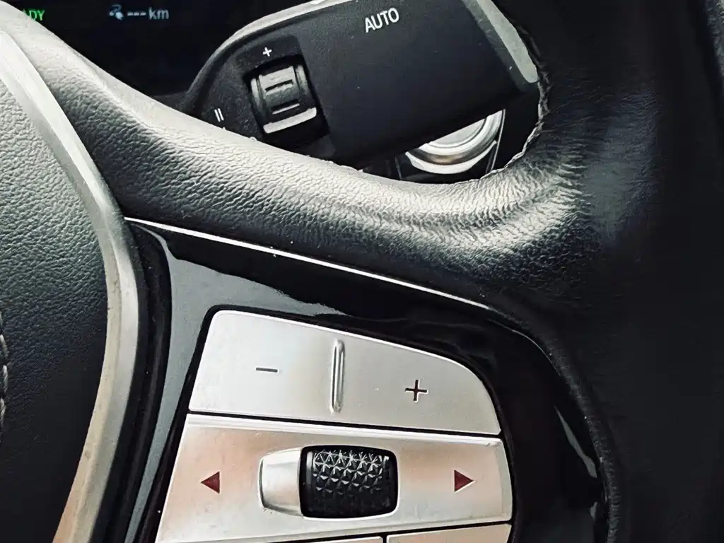 BMW 5 Series New Energy 2019 — фото 29