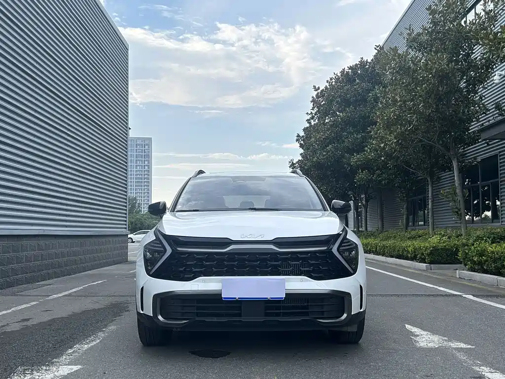 Kia Lion Platinum Expands The Boundary 2024 — фото 5