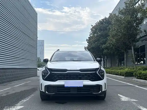 Kia Lion Platinum Expands The Boundary 2024