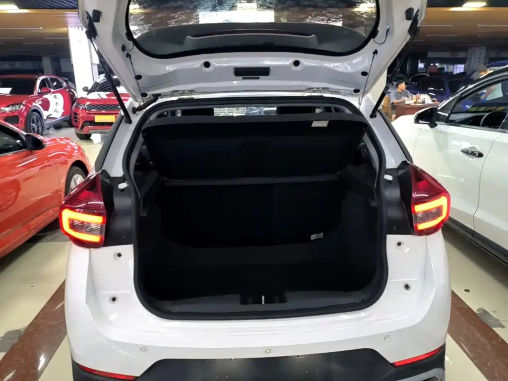 Chery Tiggo 3x 2021 — фото 19