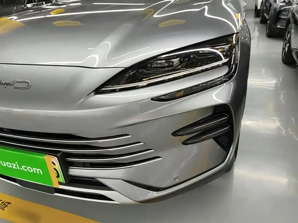 BYD PLUS New Energy 2024 — фото 24