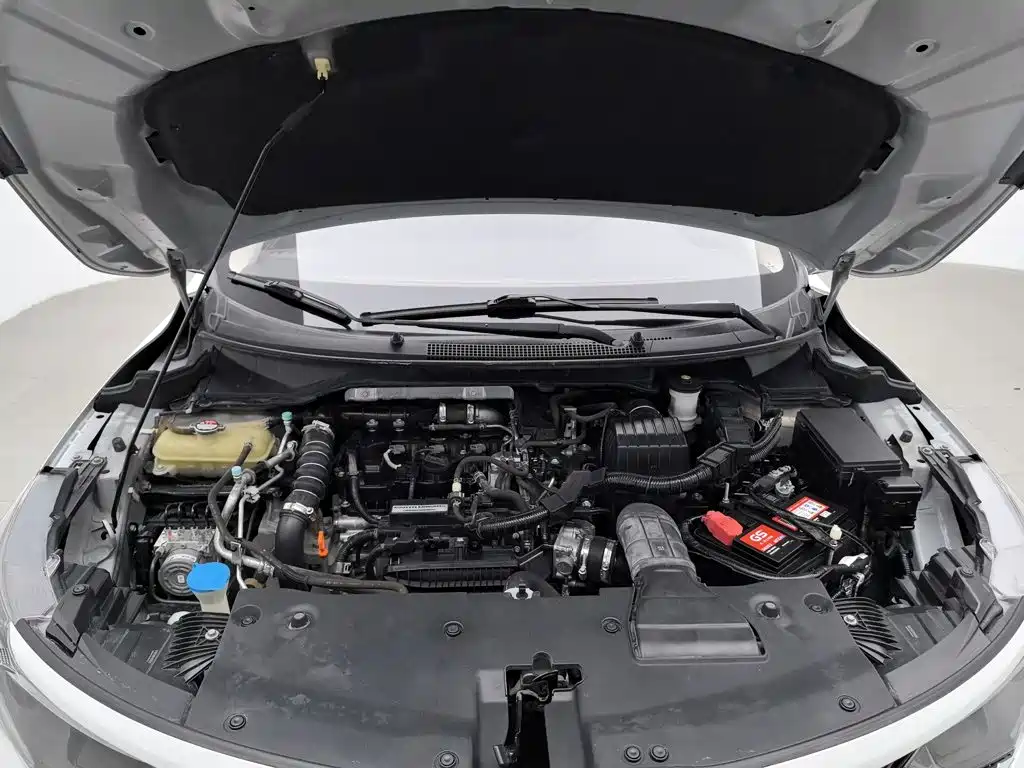Honda Envix 2019