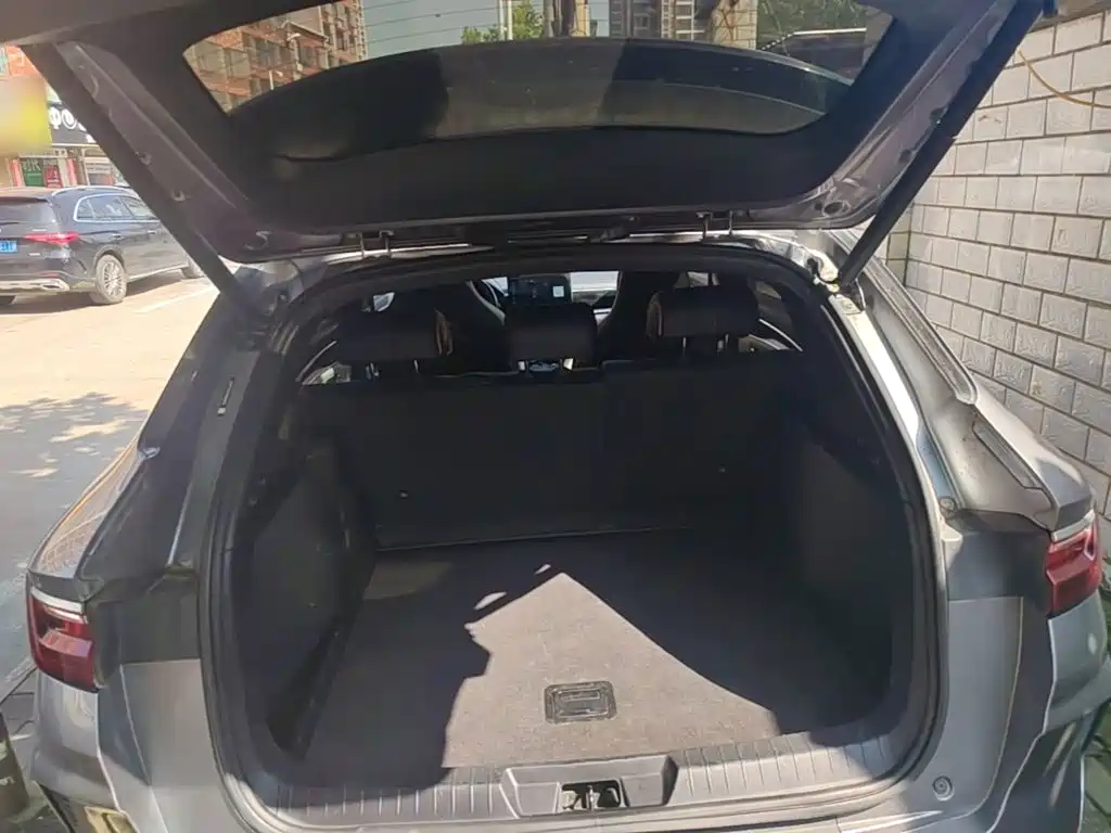 BYD Song PLUS New Energy 2022 — фото 19
