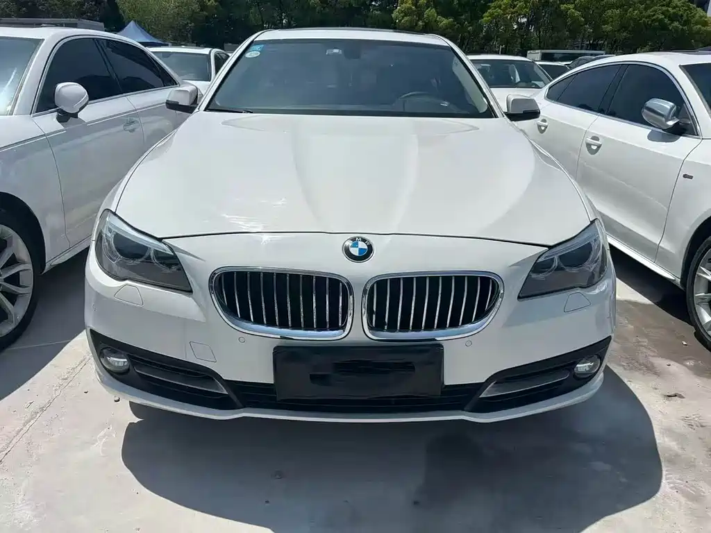 BMW 5 Series 2014