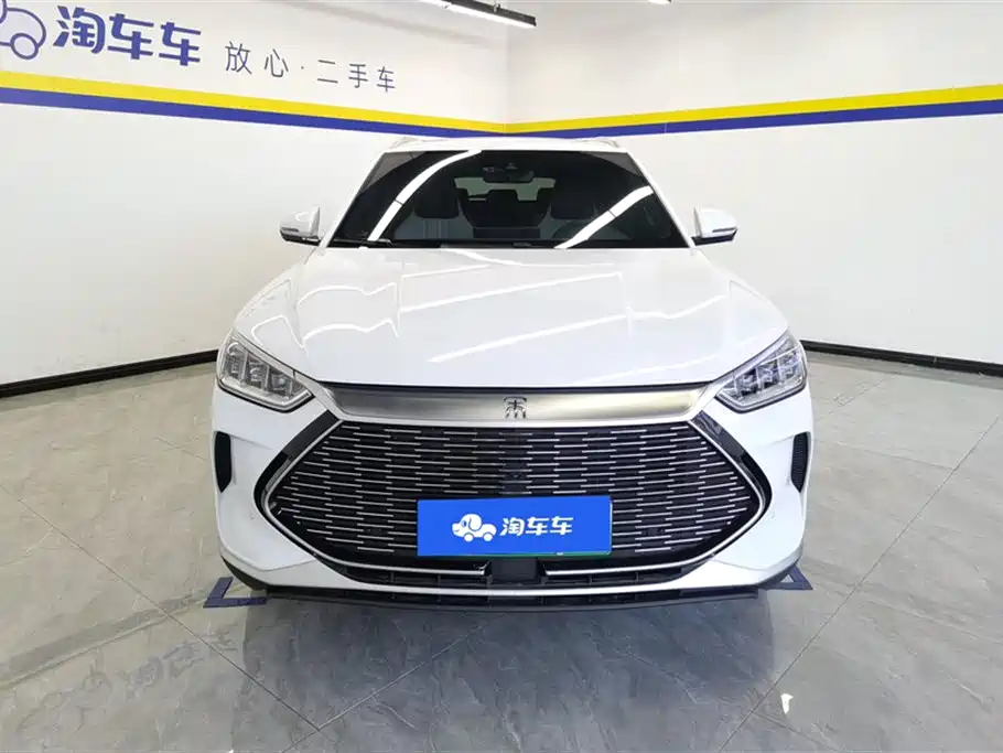 BYD PLUS New Energy 2022 — фото 2