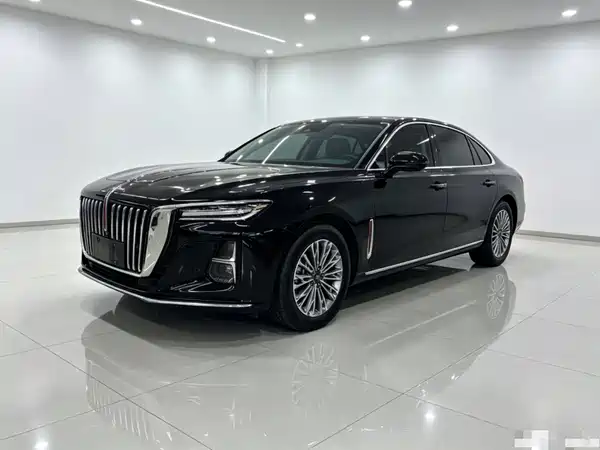 Hongqi H5 2024