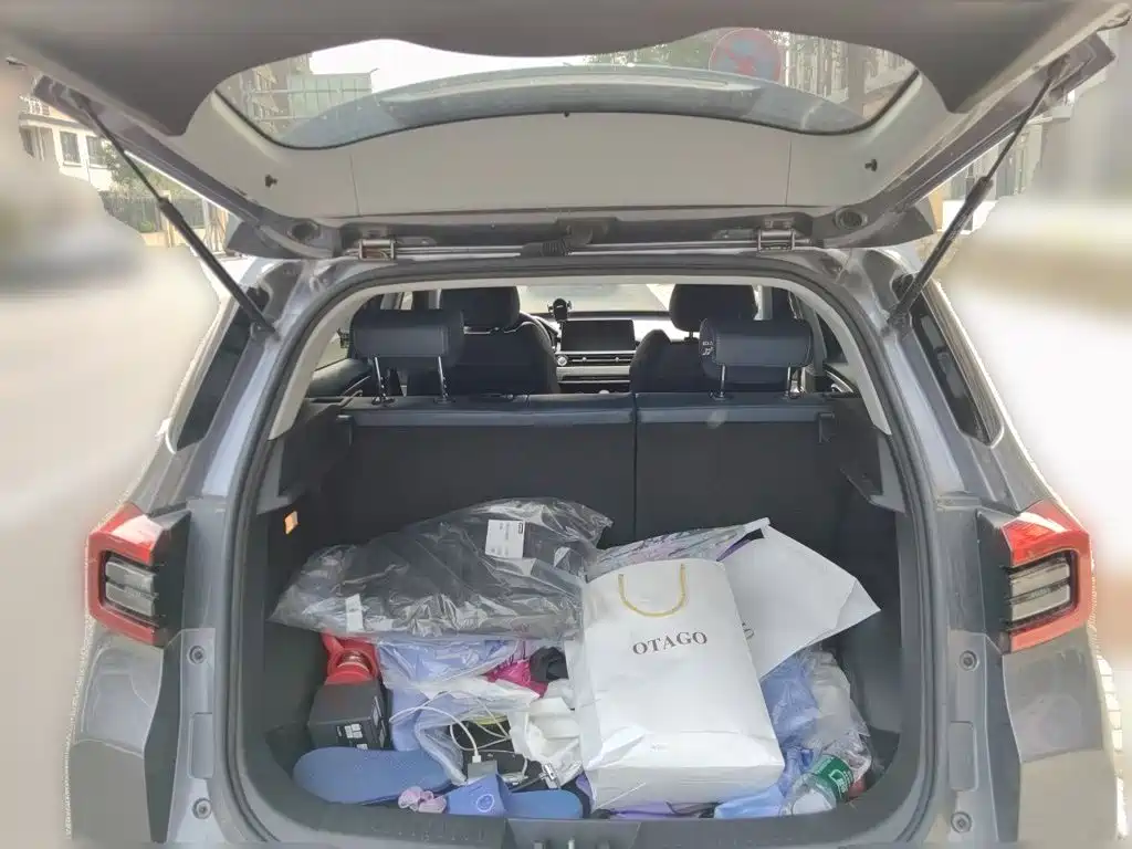 Chery Tiggo 5x 2024 — фото 15
