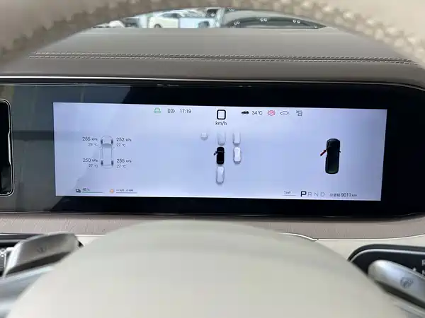 Denza N8L 2025