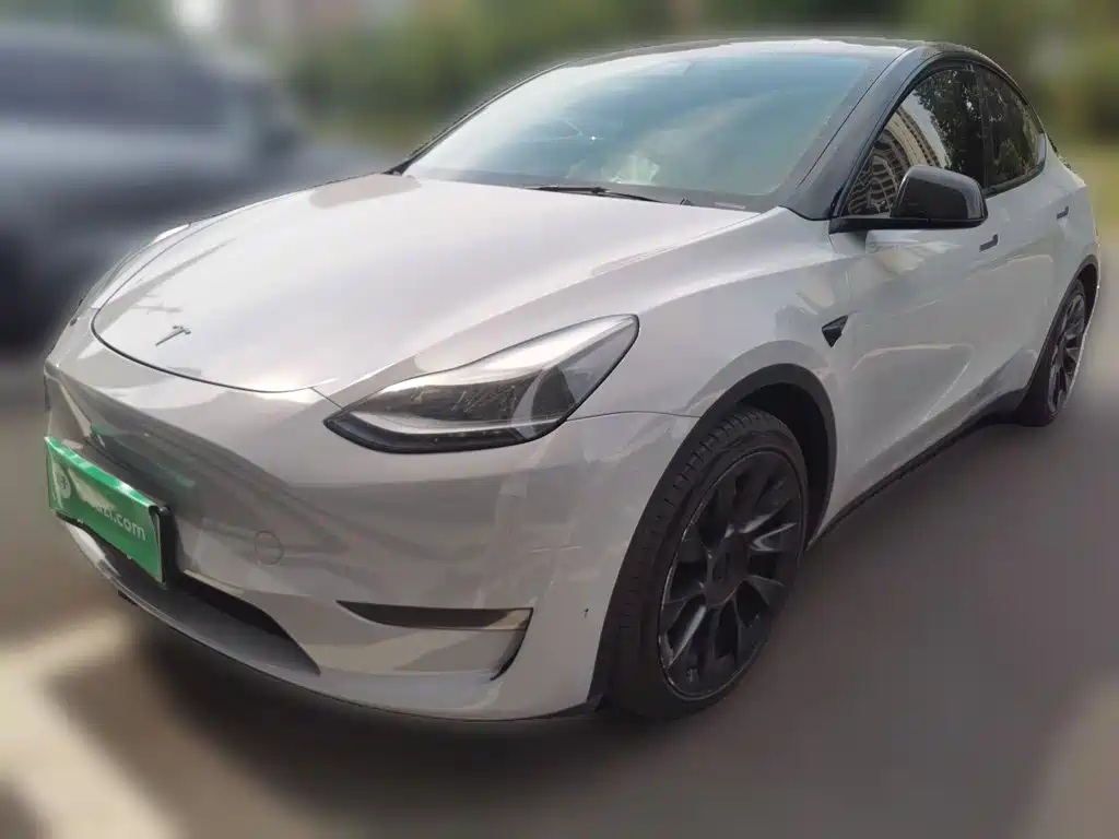 Tesla Model Y 2021 — фото 1