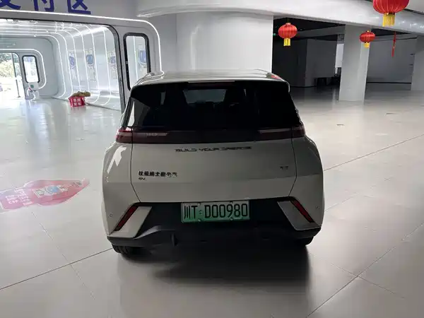 BYD Seagull 2024