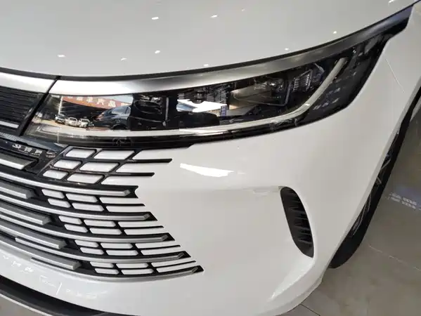 BYD Destroyer 05 2024