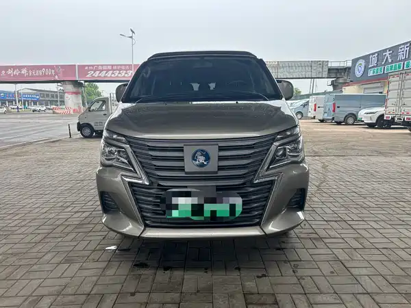 Dongfeng Lingzhi New Energy 2025