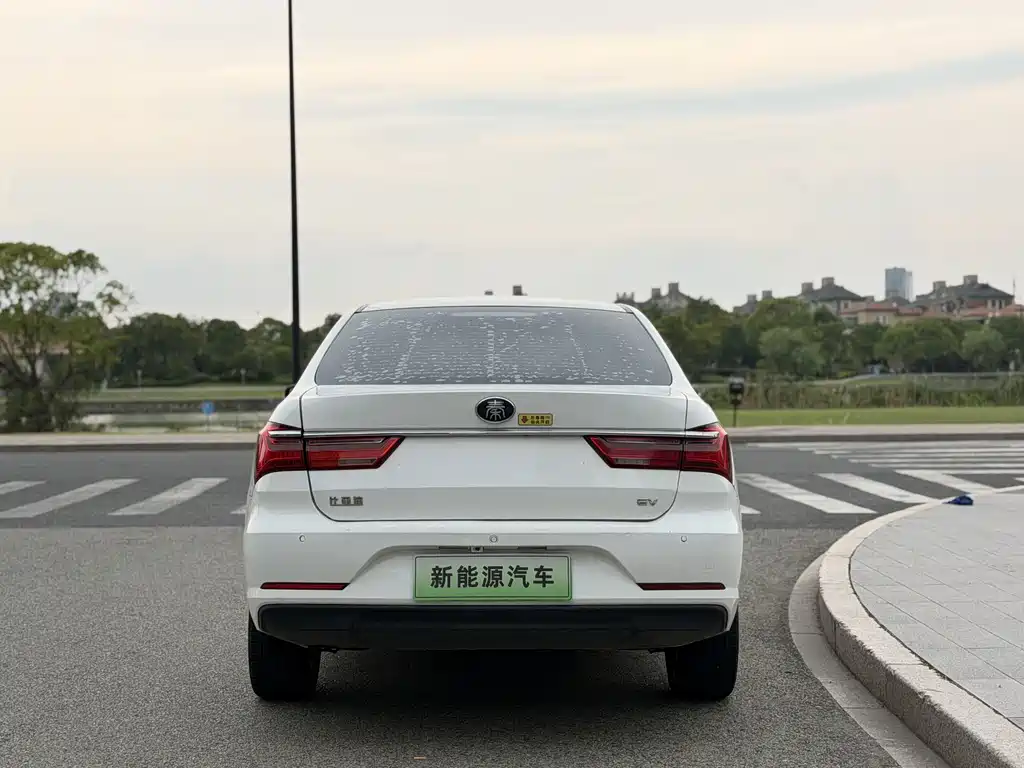BYD Qin NEV 2020 — фото 5