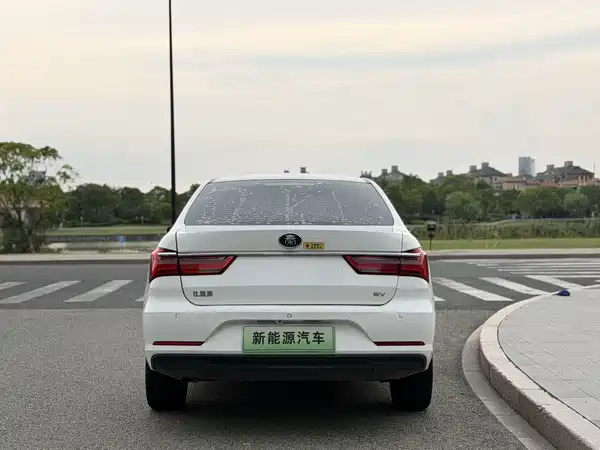 BYD Qin NEV 2020