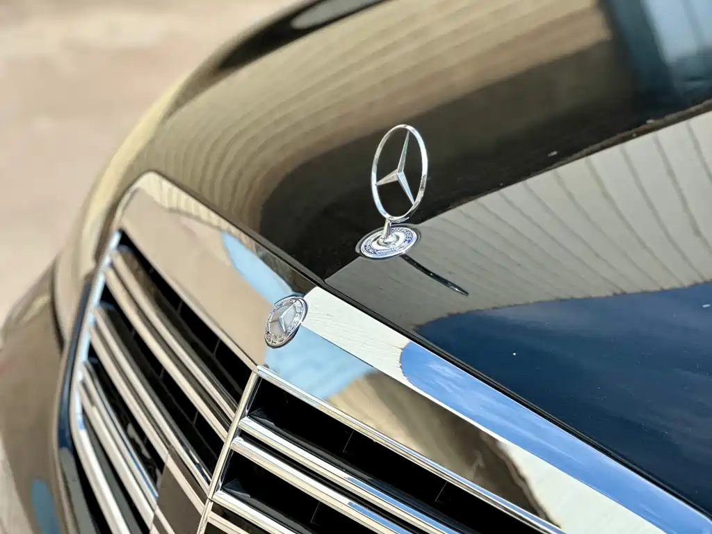Mercedes-Benz S-Class 2010 — фото 19